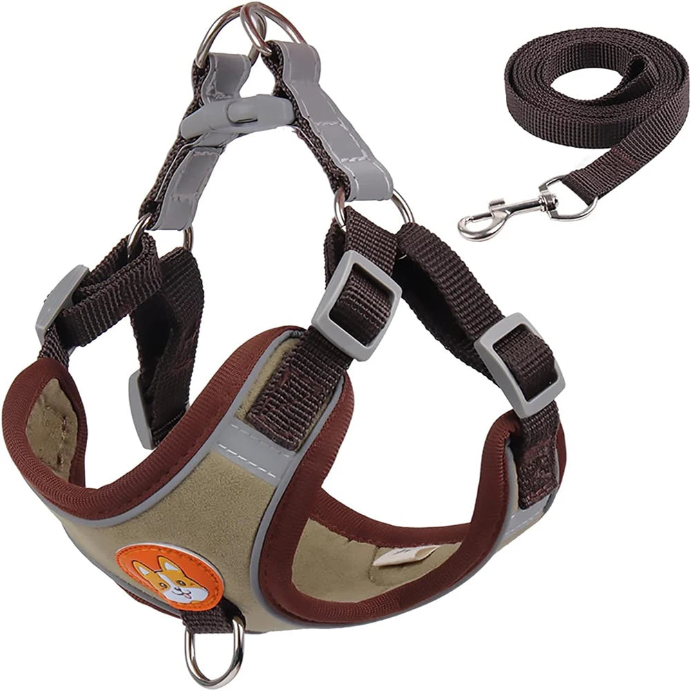 Dog harness and leash set on a white background
