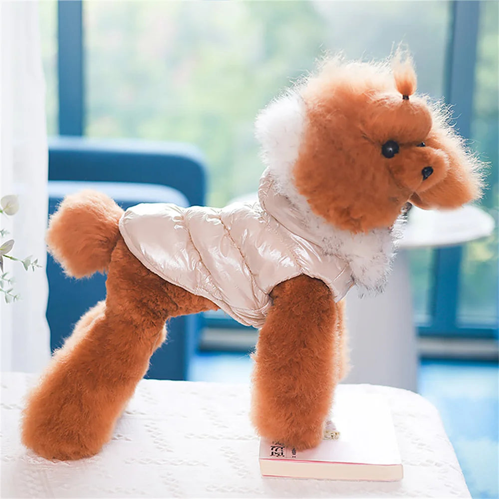 Plush toy dog in a white coat standing on a white surface with a blurred outdoor background.