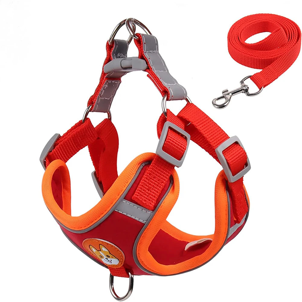 Red and orange dog harness with matching leash on a white background