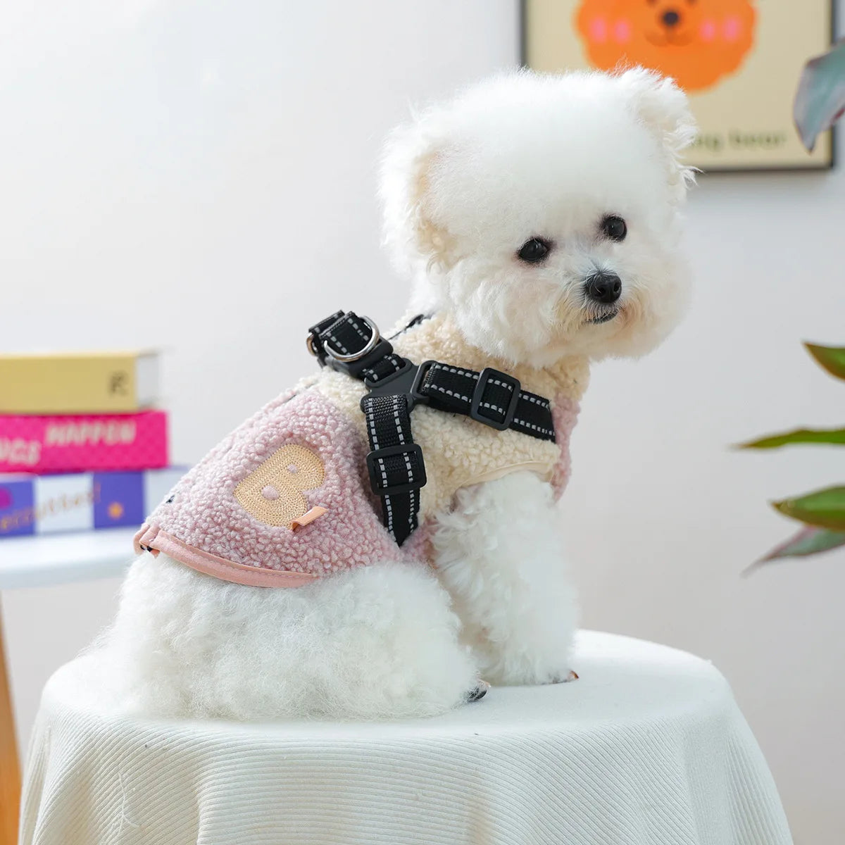 Cozy Pet Sweatshirt & Winter Coat for Small Dogs & Cats