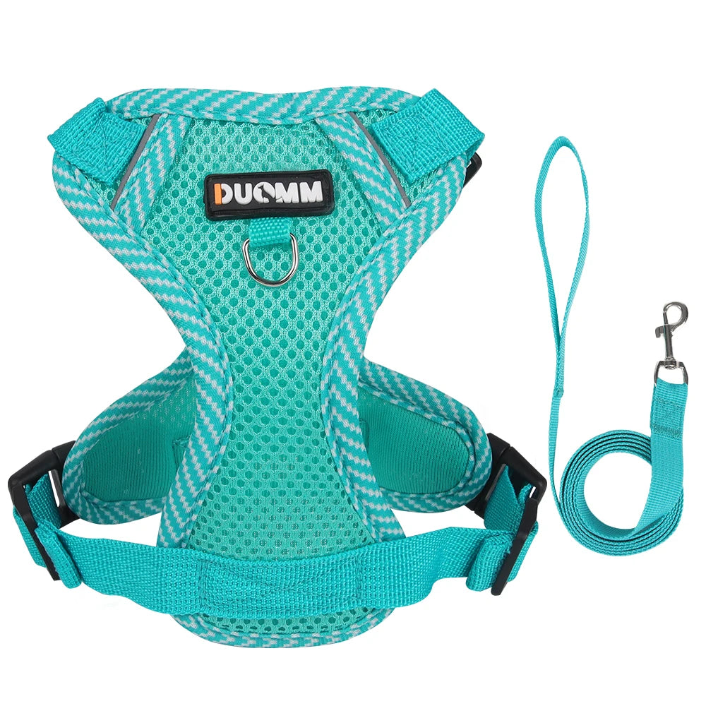 Teal dog harness and leash set with 'Ducomi' branding on a white background