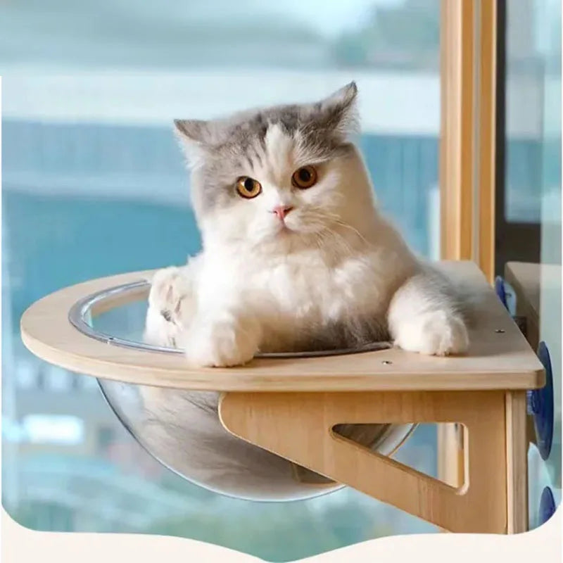 Cat sitting on a wooden window perch with a scenic background