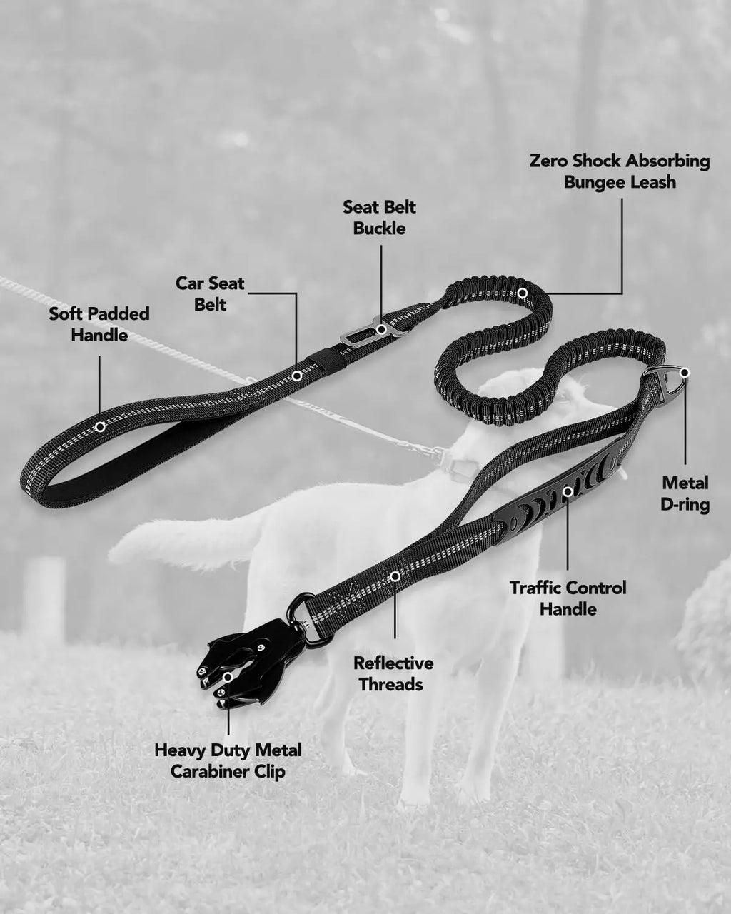 Tactical Shock-Absorbing No-Pull Dog Leash