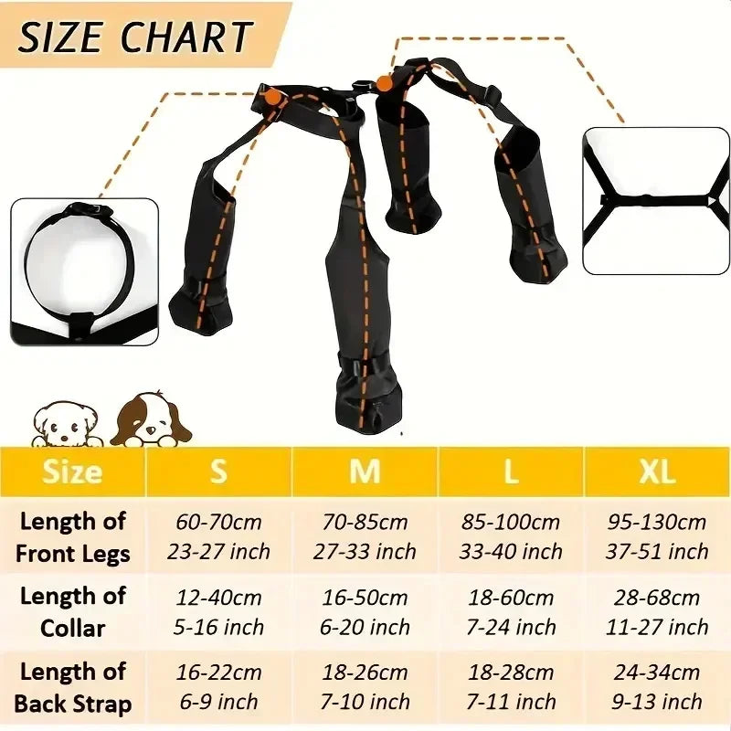 Size chart for a dog harness with measurements in centimeters and inches.