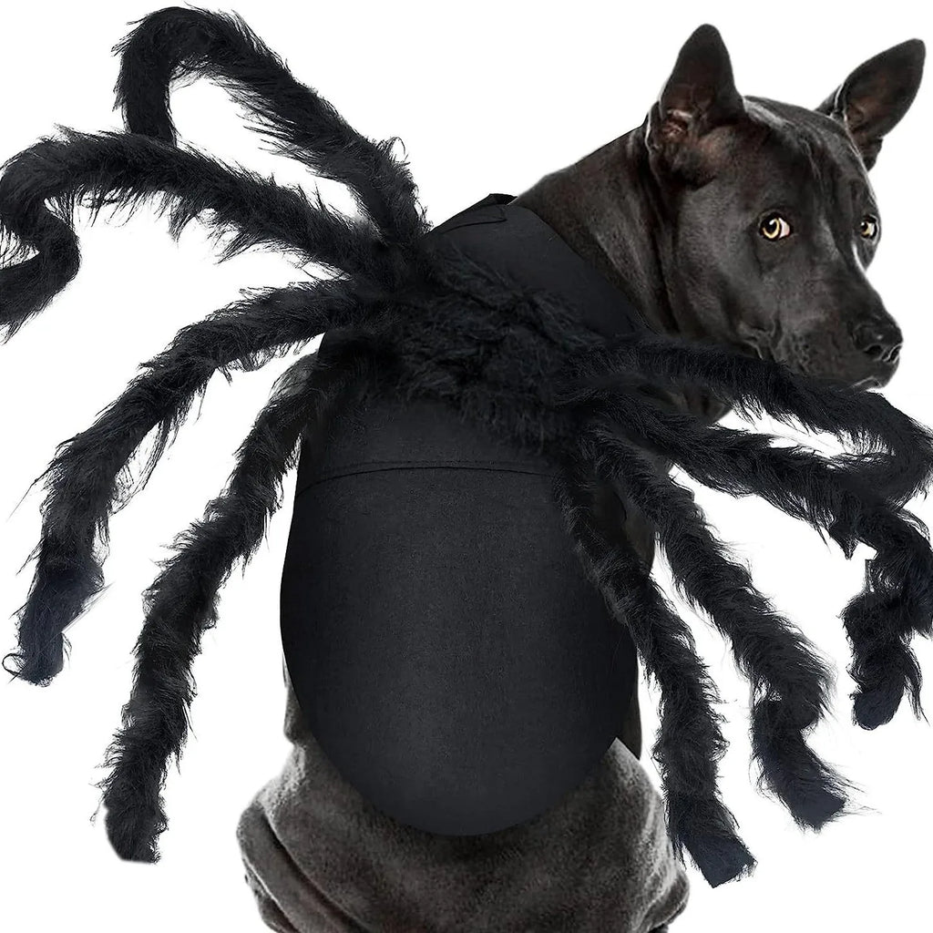 Dog wearing a spider costume with long black legs on a white background