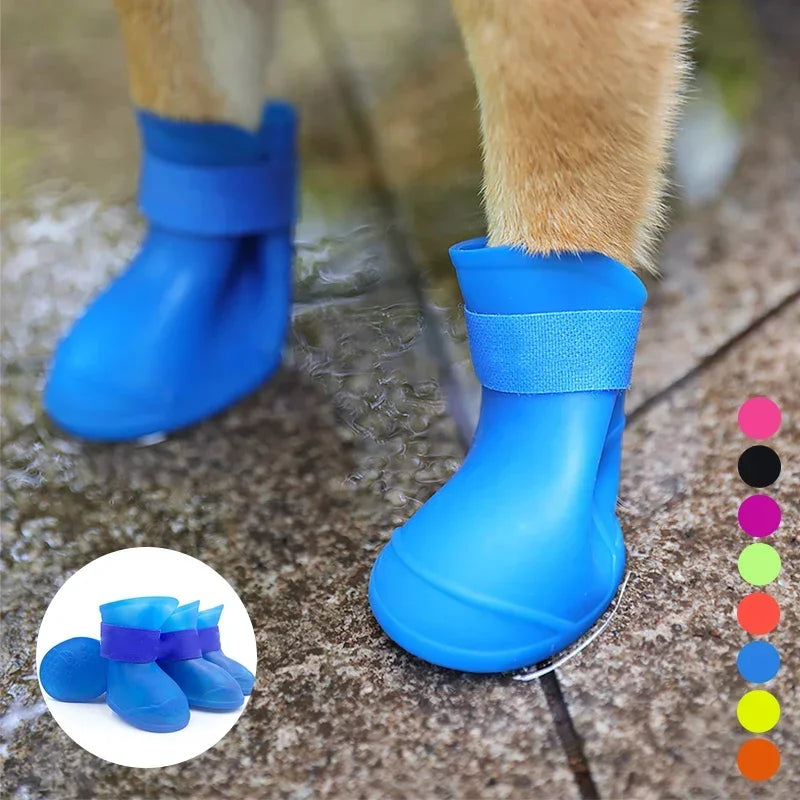 Blue rubber boots on a dog's paws with color swatches on a textured ground.