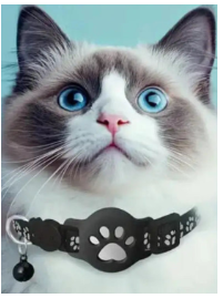 GPS Cat Tracker Collar with Real-Time Tracking
