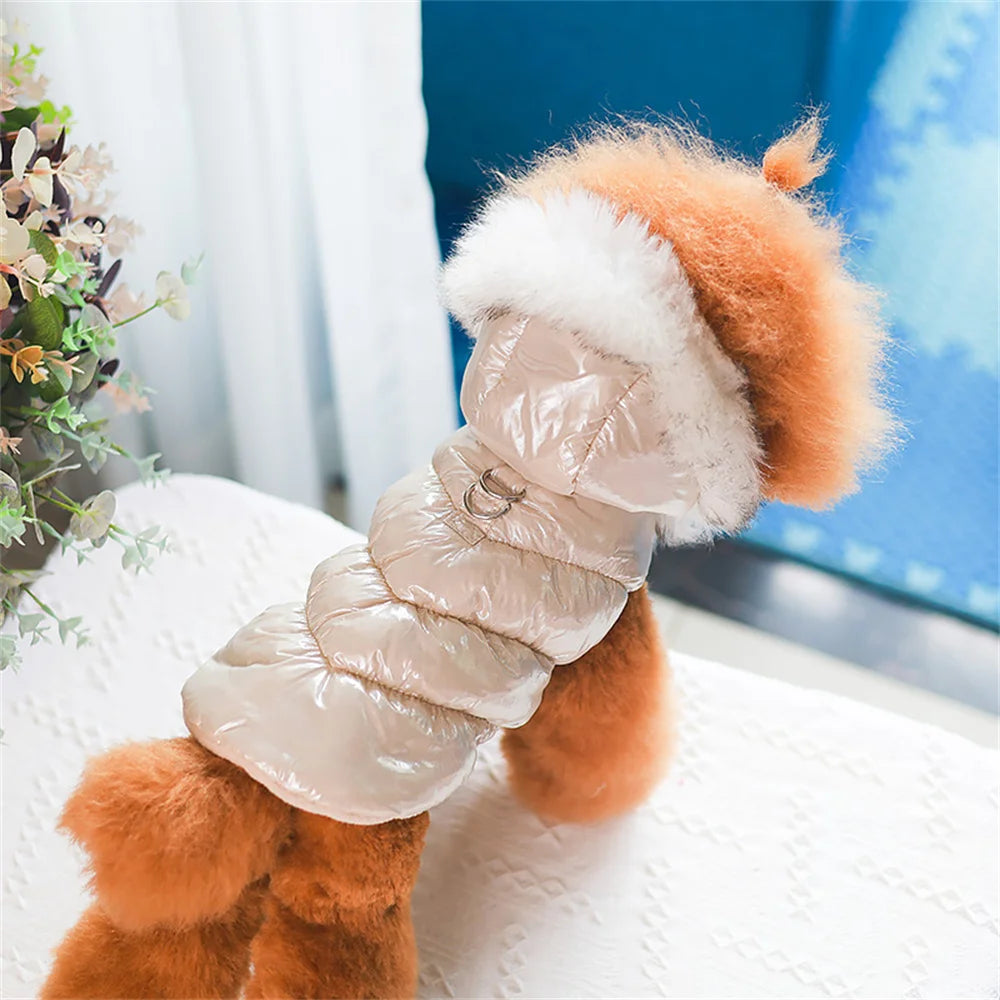 Small dog wearing a beige puffer coat with white fur trim on a light surface.