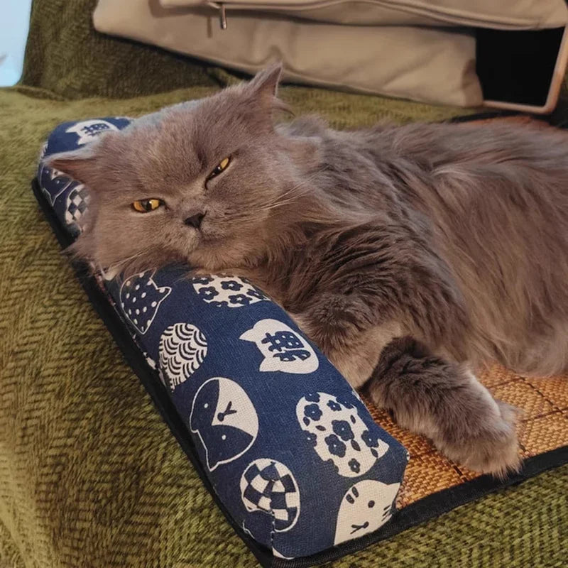 Long-haired cat lying on a patterned cat mat on a green couch