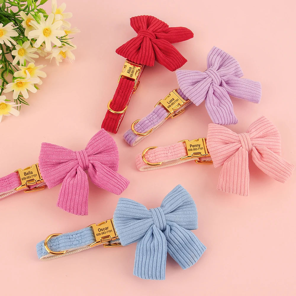Colorful dog collars with large bows on a pink background