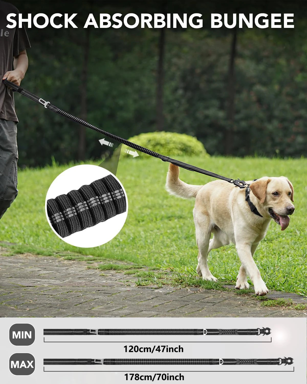 Dog being walked on a shock-absorbing bungee leash with a close-up of the leash and product details.