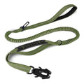 Green dog leash with black clip on a white background