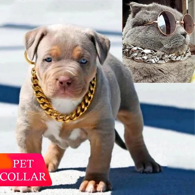 Puppy wearing a gold chain collar with a cat wearing sunglasses and a gold chain collar in the corner.