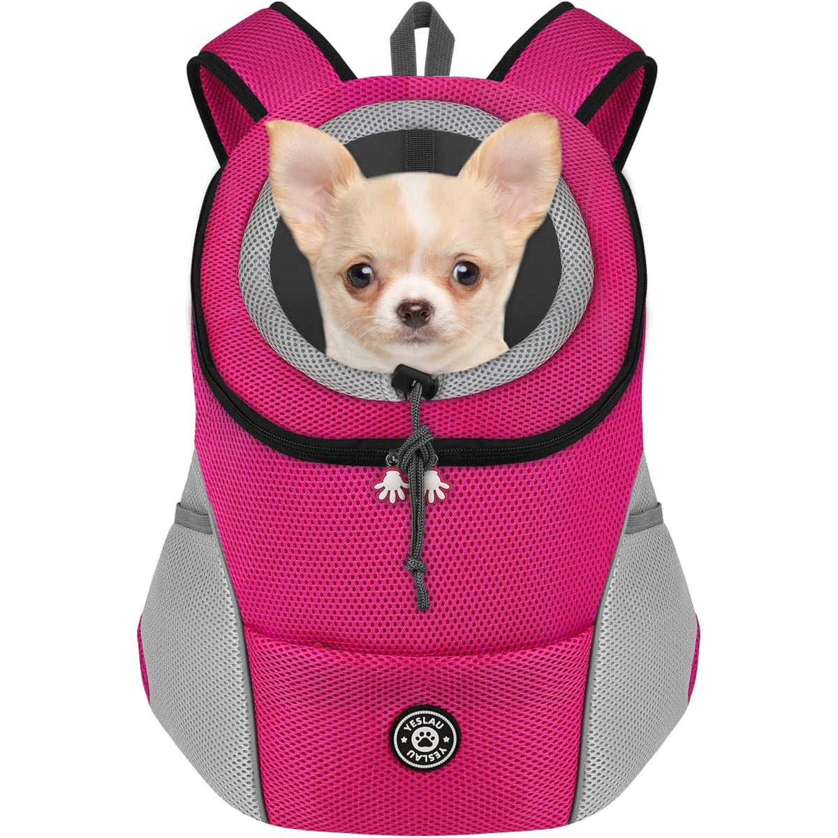 Small dog in a pink backpack with a visible brand logo on a white background