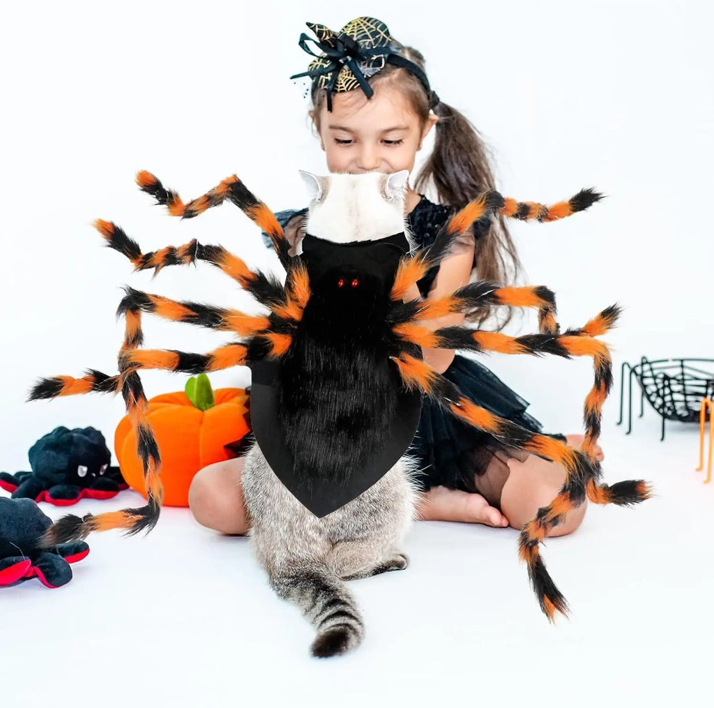 Child in a Halloween costume with a cat wearing a large spider costume on a white background
