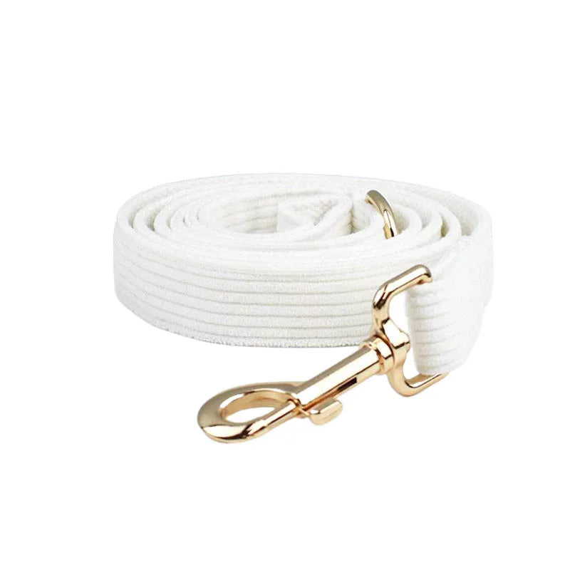 White dog leash with a gold clasp on a white background