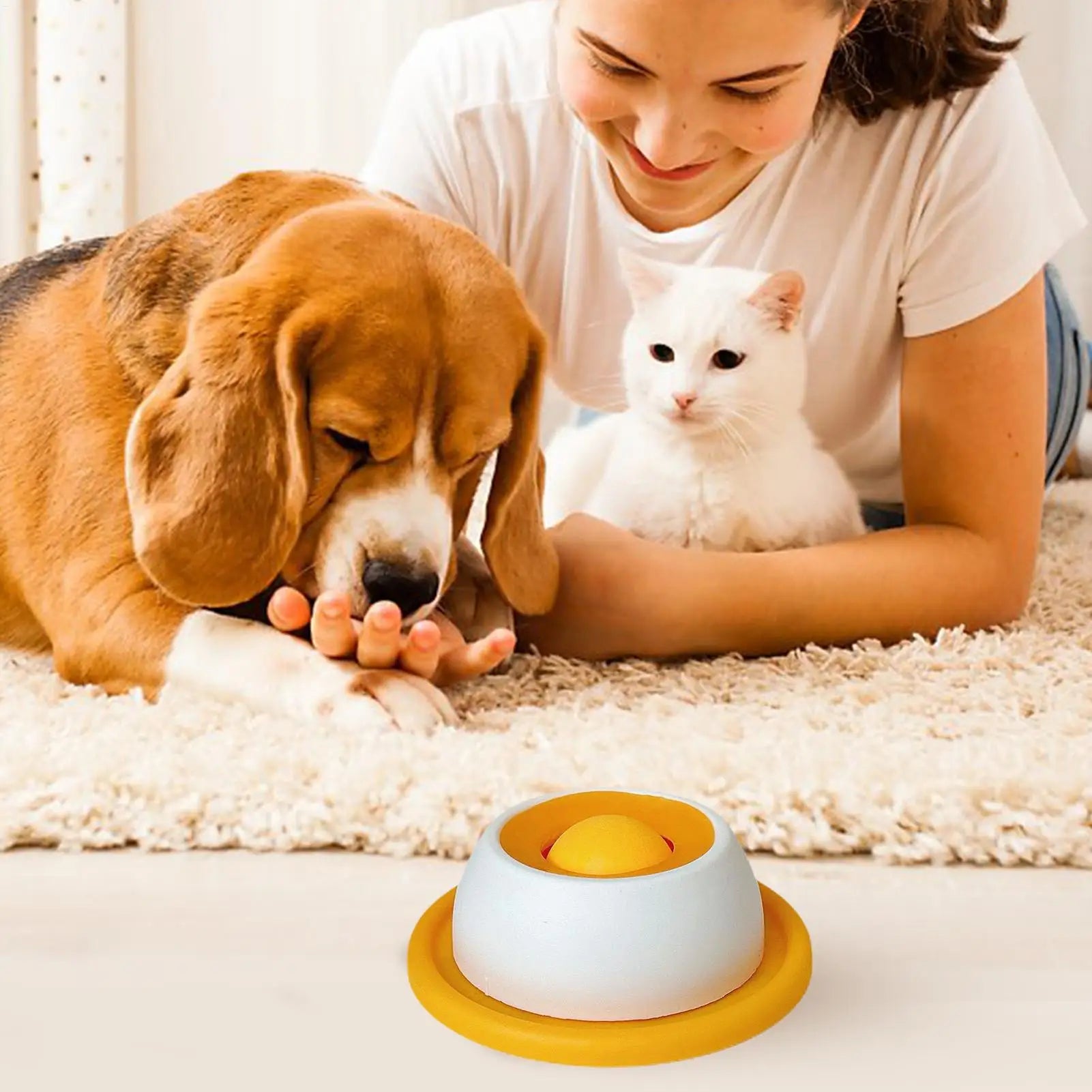 Woman with a dog and a cat on a carpet, with a pet toy in the foreground.