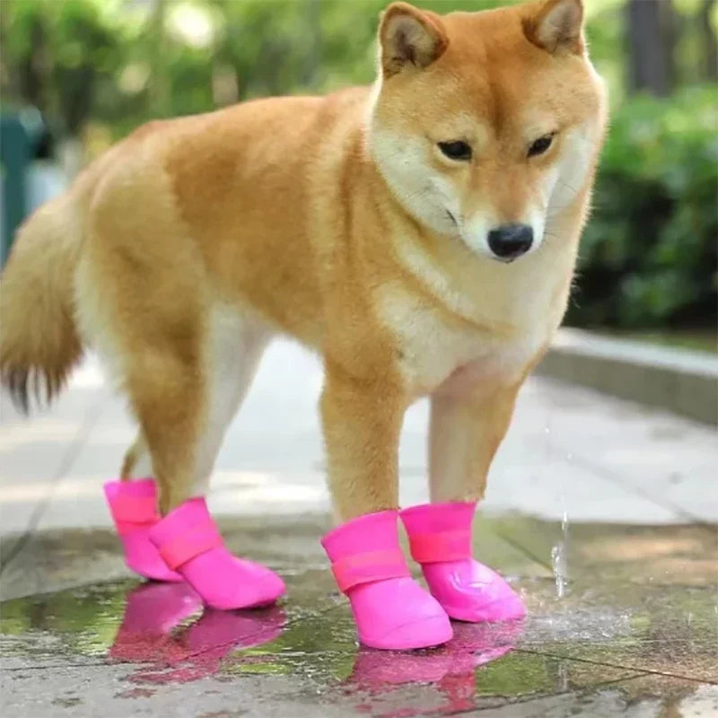 Dog wearing pink rain boots on a wet pavement