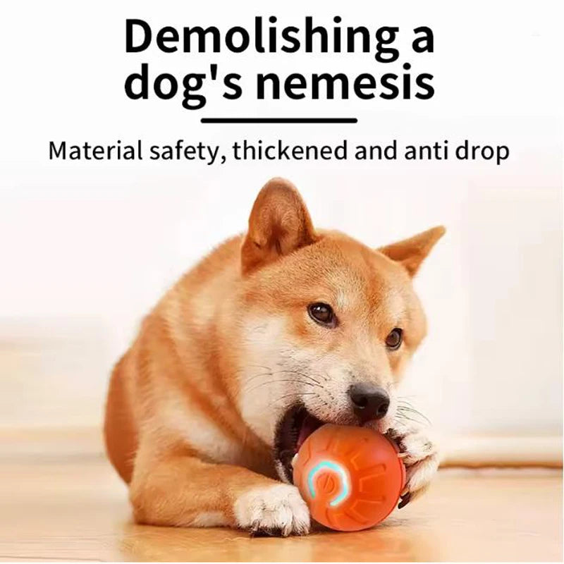 Dog playing with a ball, text about material safety and product features.