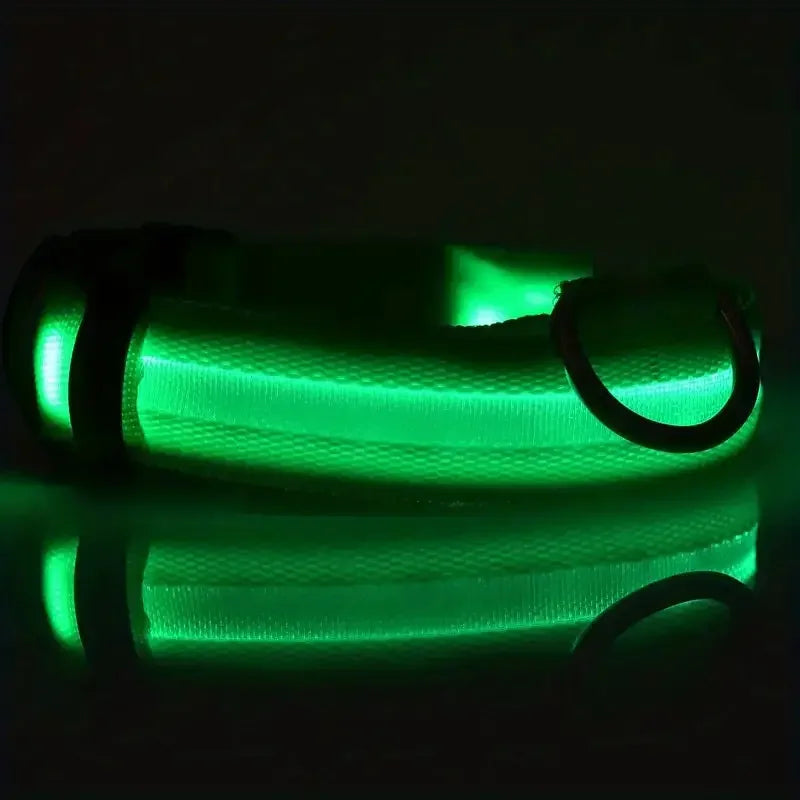 Green glowing dog collar on a black background