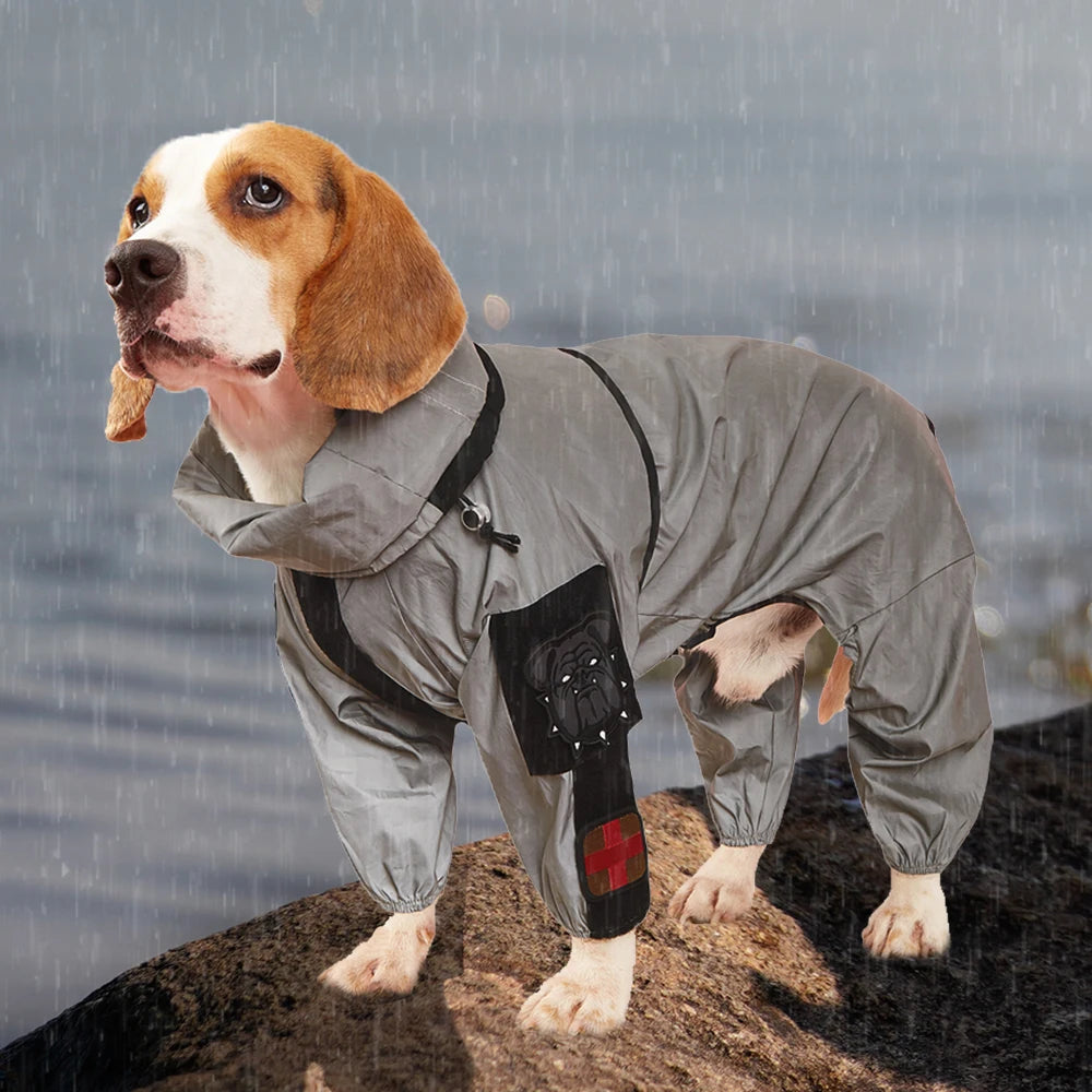 Dog wearing a gray raincoat standing on a rocky surface with water in the background