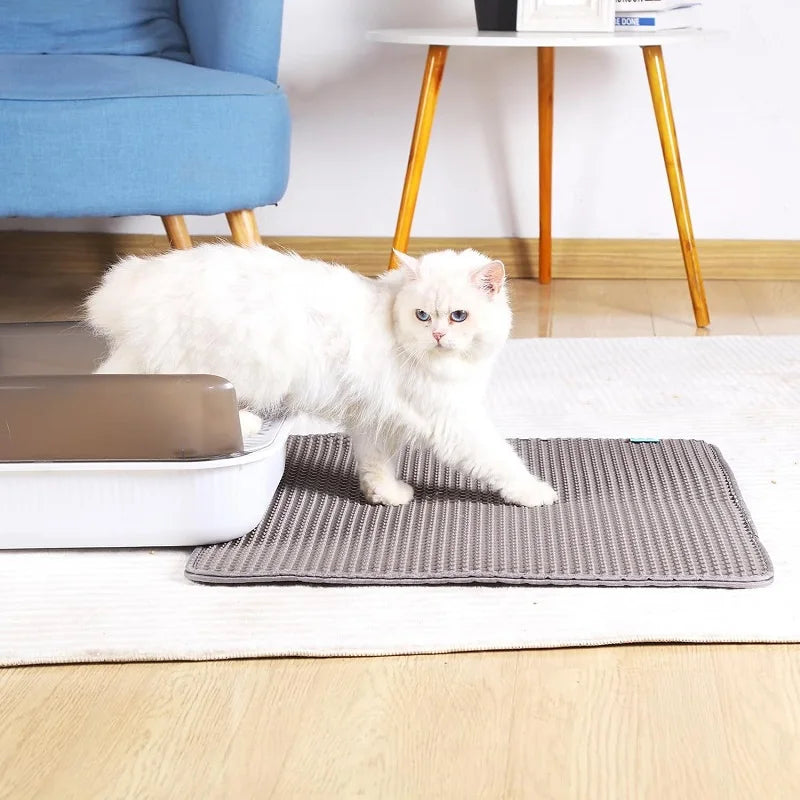 White cat stepping out of a litter box onto a pad  in a home setting