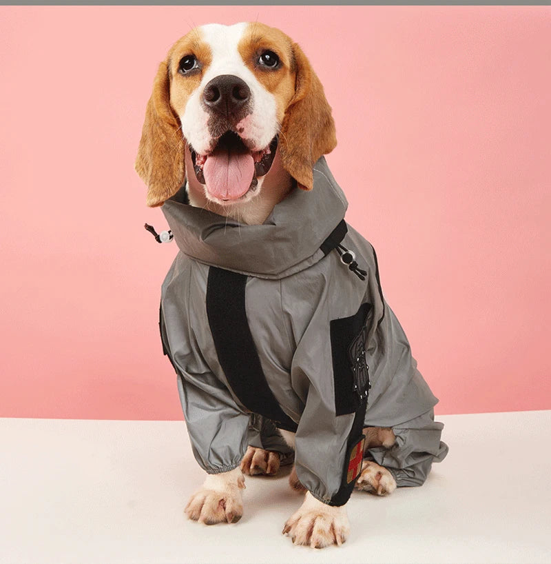 Dog wearing a gray raincoat against a pink background