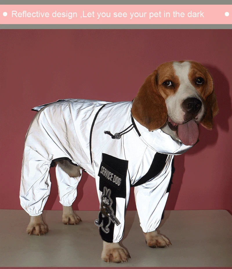 Dog wearing a white reflective outfit with black text on a pink background