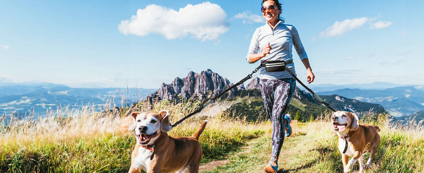 Woman running  two dogs on a mountain trail with scenic views