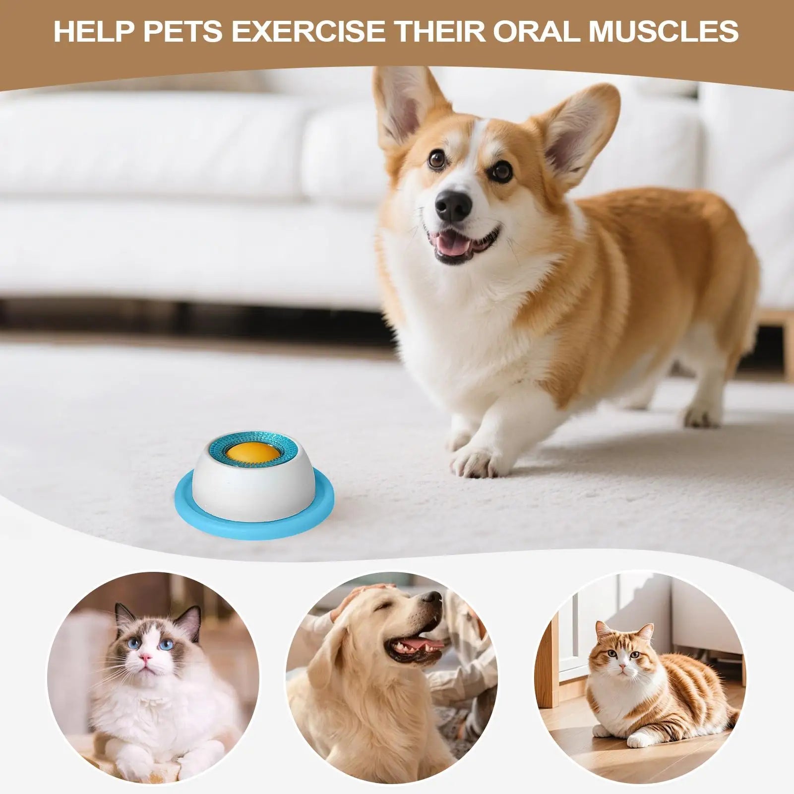 Dog standing next to a pet toy with text about helping pets exercise oral muscles, surrounded by smaller images of cats and dogs.