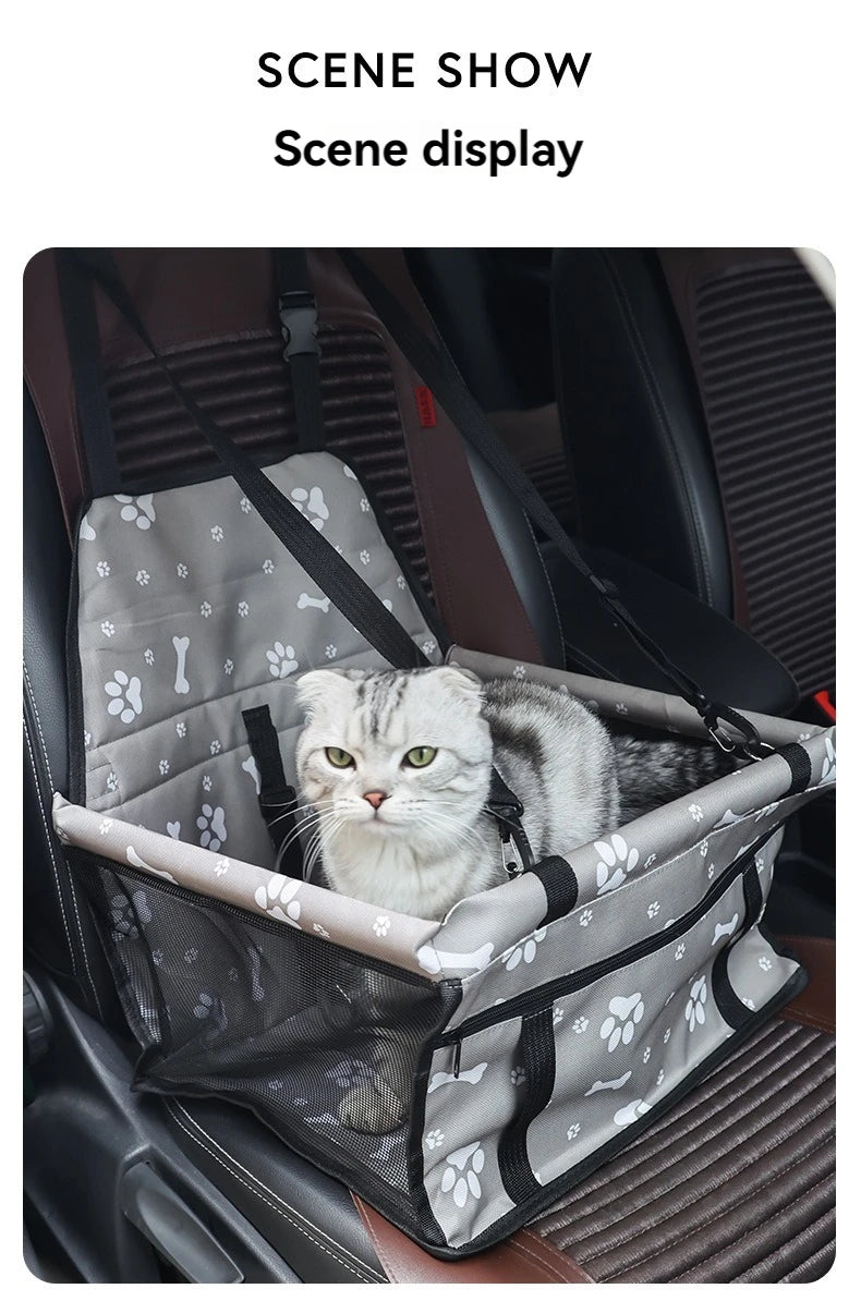 Cat sitting in a car seat cover with paw pattern on a vehicle's back seat.