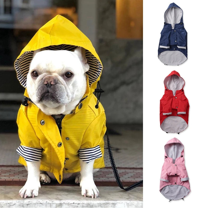 Dog wearing a yellow raincoat with additional raincoats in different colors displayed on the right.