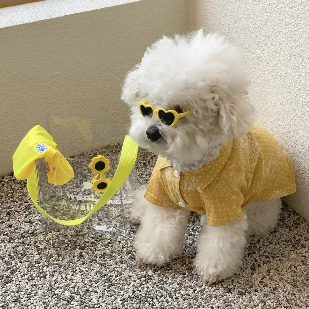 White dog wearing a yellow shirt and sunglasses, standing on a textured surface.