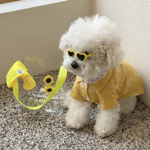 White dog wearing a yellow shirt and sunglasses, standing on a textured surface.