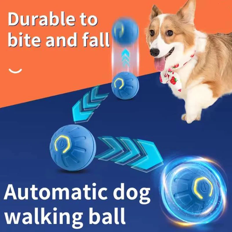 Automatic dog walking ball with a dog on an orange and blue background