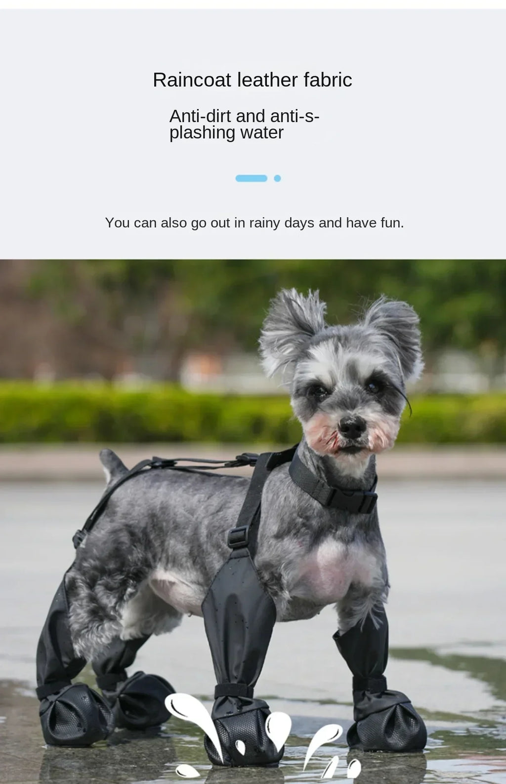 Dog wearing a raincoat with leather fabric in a wet outdoor setting