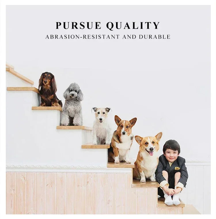 Five dogs on a set of stairs with text 'Pursue Quality' and 'Abrasion-Resistant and Durable'.