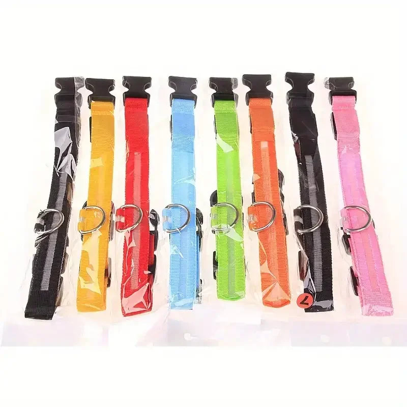 Set of colorful dog collars with reflective stripes on a white background