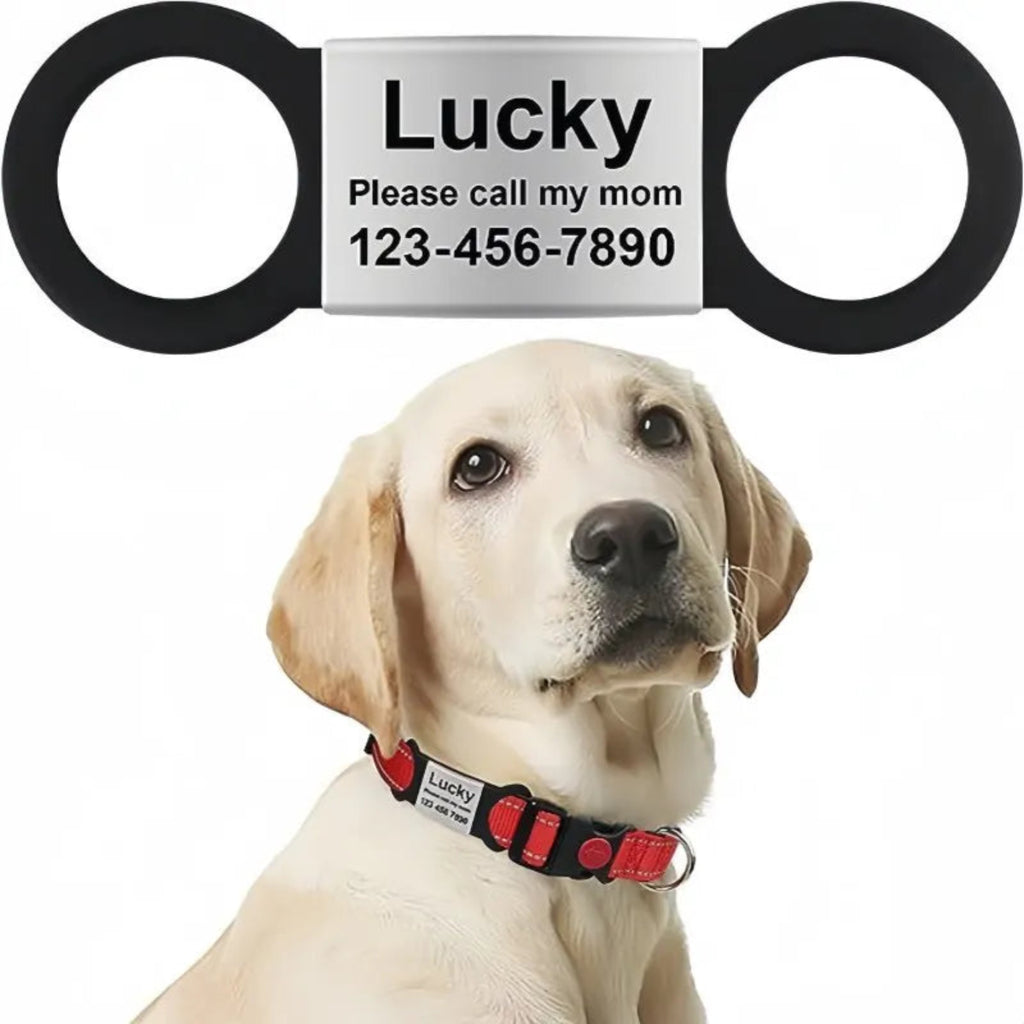 Dog wearing a collar with a name tag and contact information on a white background