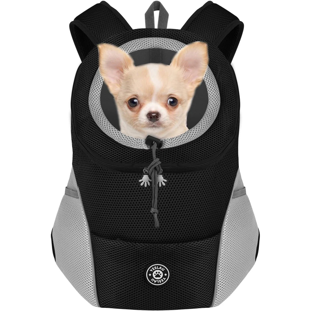 Black pet backpack with a small dog peeking out on a white background