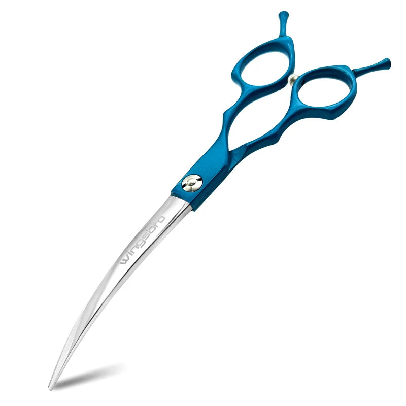 Blue-handled scissors with silver blades on a white background