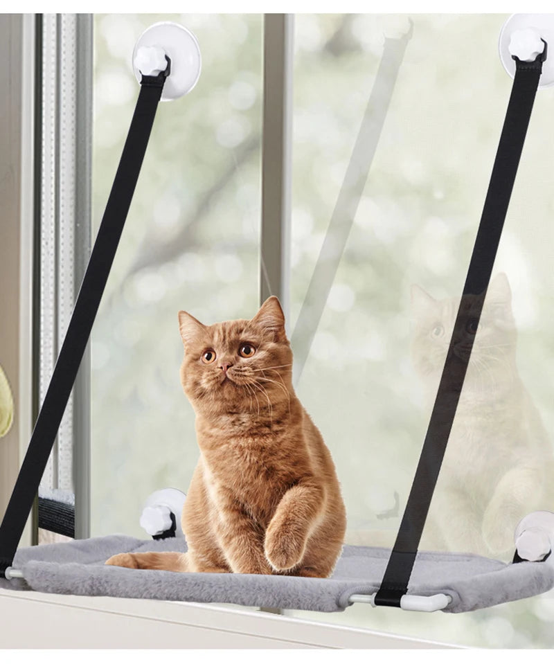 Cat sitting on a window-mounted pet hammock with suction cups.