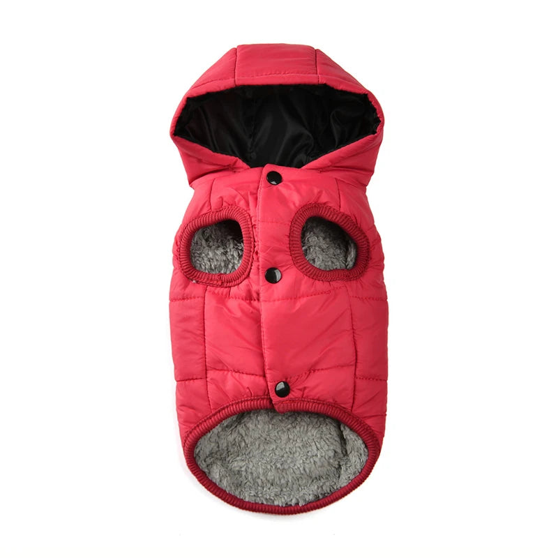 Red quilted dog coat with gray lining on a white background