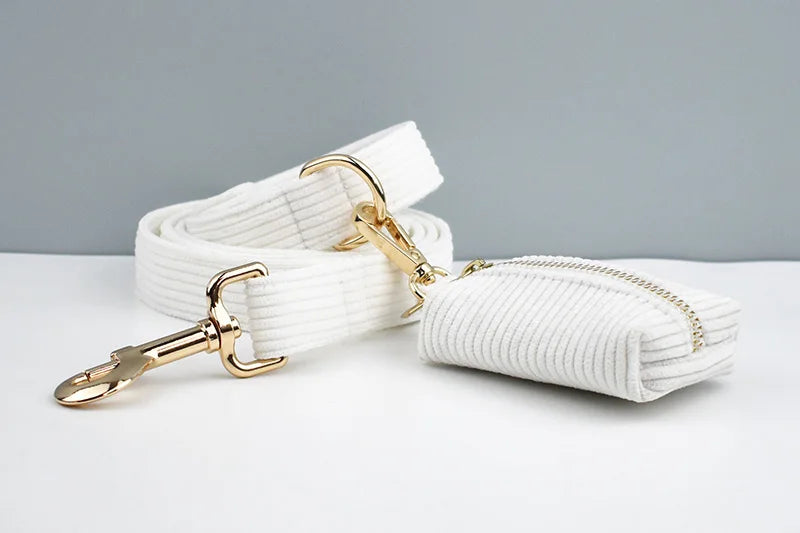 White dog leash with gold hardware on a gray background