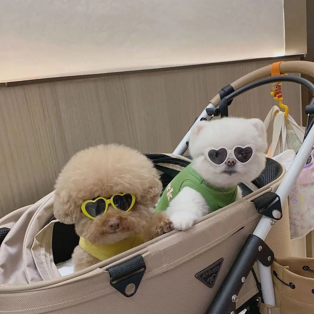 Two dogs in a stroller wearing sunglasses
