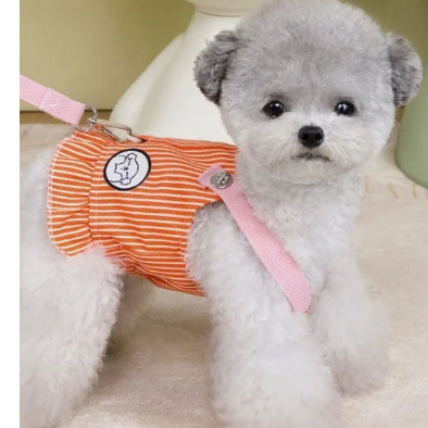Small dog wearing an orange harness with a pink leash on a light-colored surface.