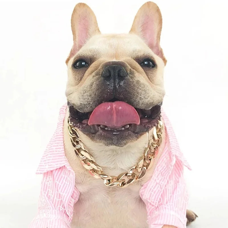 Dog wearing a pink outfit and gold chain, sticking out its tongue on a white background
