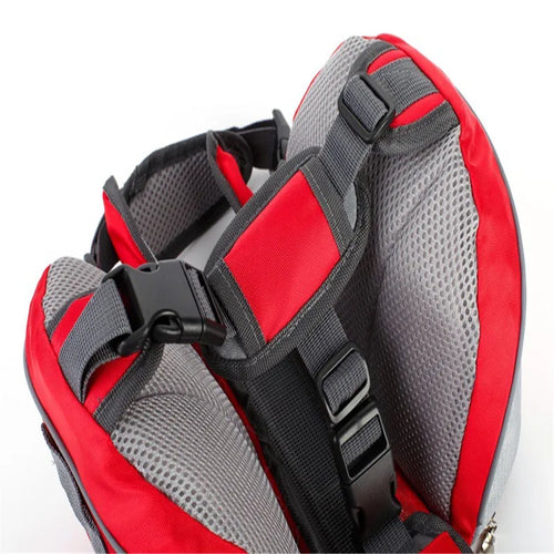 Red and gray backpack with black straps on a white background