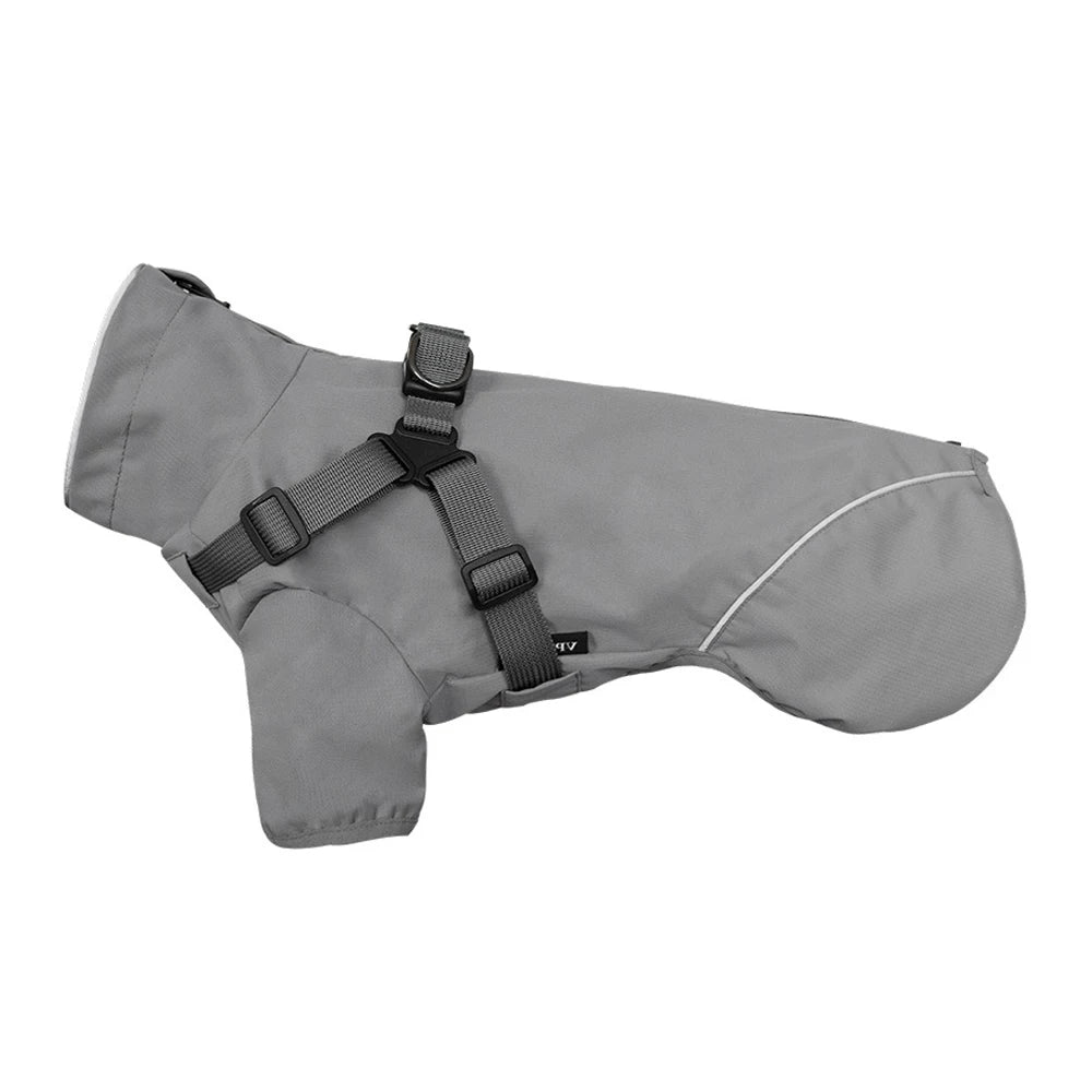 Gray dog coat with black straps on a white background