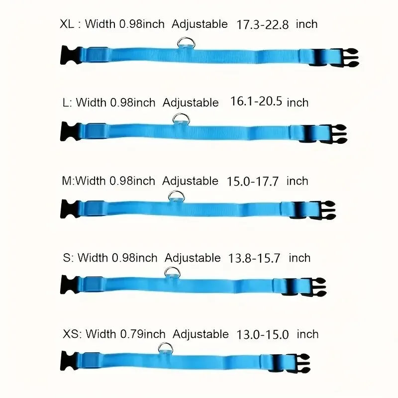 Set of blue dog collars with adjustable sizes on a white background